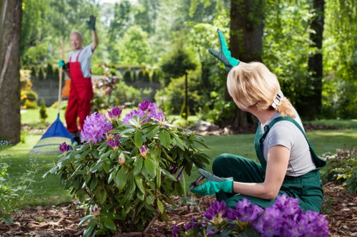 Gardener assessing a small Islington courtyard garden