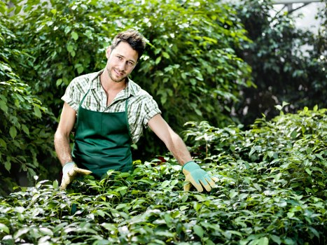 Gardener working on a seasonal garden in Islington