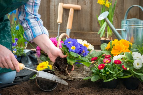 Autumn garden preparation in Islington