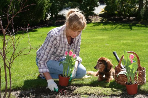 Commitment to safe, healthy and environmentally responsible gardening services